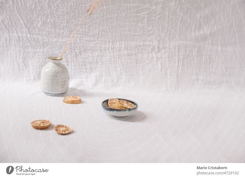 Dried lemon slices on a white delicate background showing the Spring and Summer aesthetics springtime aesthetic fresh dried lemon slices summer aesthetic