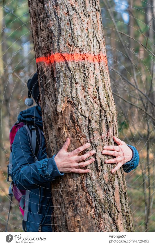 Tree hugging | woman holding a trunk of a pine tree marked with a red color ring Tree cuddling Forest Jawbone Nature Colour photo Tree marking Forest management