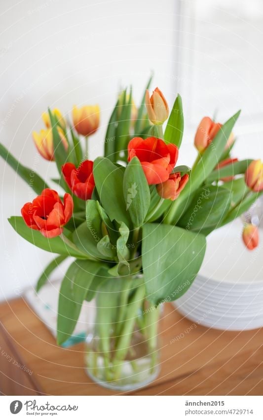 A bouquet of tulips stands on a sideboard made of wood Spring celebration Red Yellow Green flowers Ostrich Decoration Bouquet Plant pretty Tulip Nature Flower