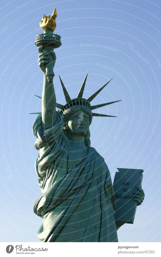 Free ice for all Statue Americas Landmark Freedom Ice Torch independently Statue of Liberty