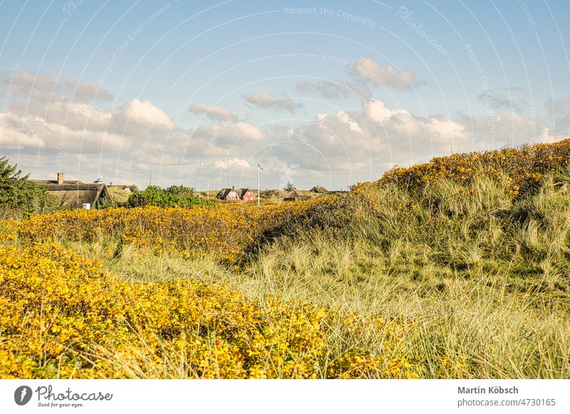 on the coast of Blåvand Denmark. View over the dunes. Bright colors. Landscape beach north sea denmark vacation heaven camper cloud ocean countryside summer