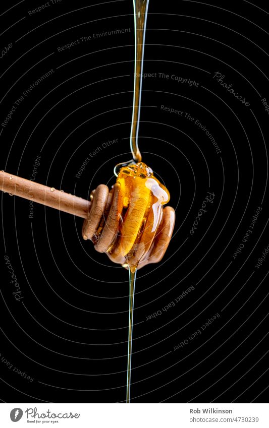 honey pouring over a wooden dipper stick, black background amber closeup delicious diet dipping drip dripped drop flow flowing food fresh gold golden health