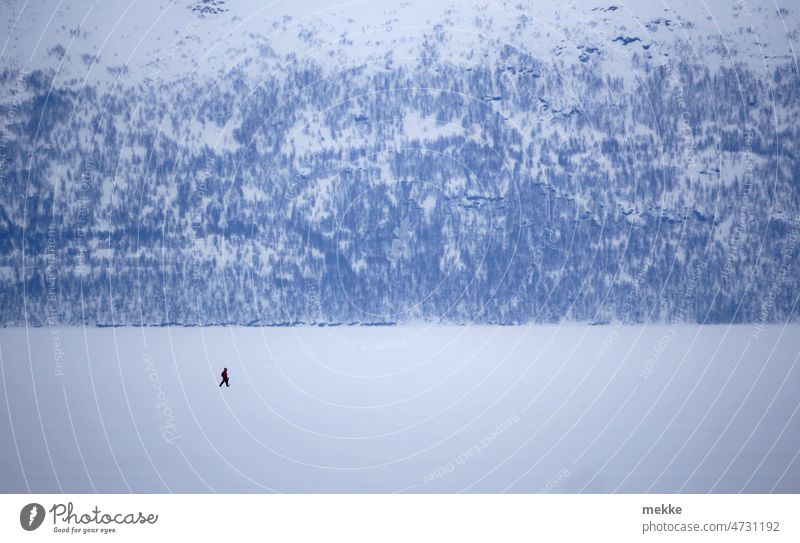 Lonely hiker on frozen lake hikers Snow Lake Landscape Winter Nature Ice Frozen Cold Mountain on one's own snow-covered wide distance Scandinavia The Arctic