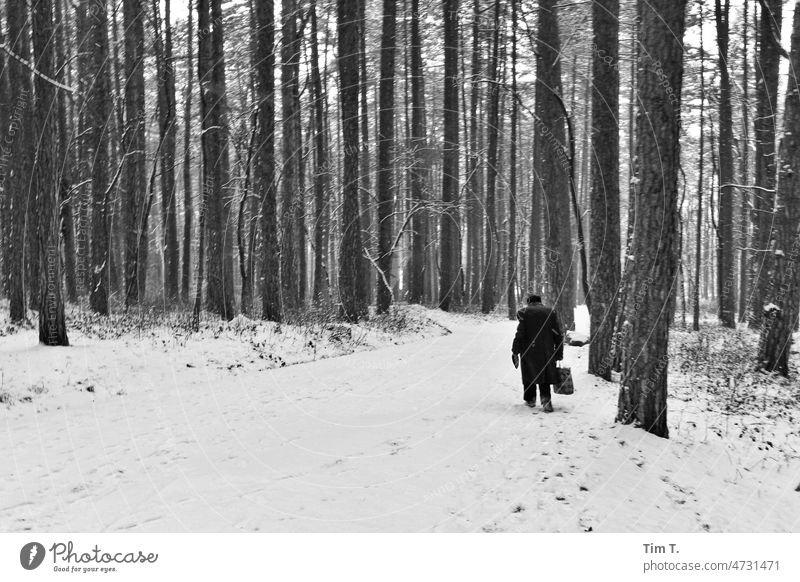 old man in winter clothes trudges through snowy forest Bulgaria Winter Snow Forest b/w bnw Black & white photo Day Exterior shot cold Sofia
