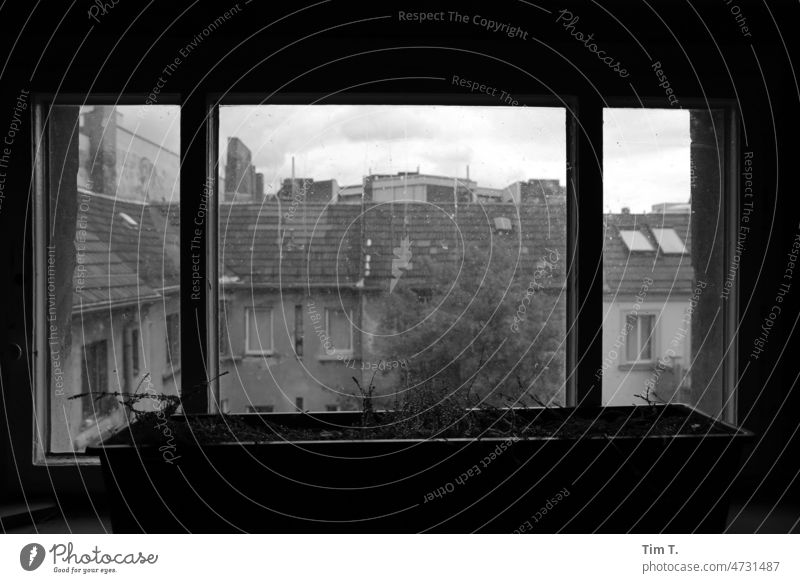 View from the top staircase windows into the backyard Prenzlauer Berg Berlin bnw b/w Window Backyard Black & white photo Town Capital city Downtown Day Deserted
