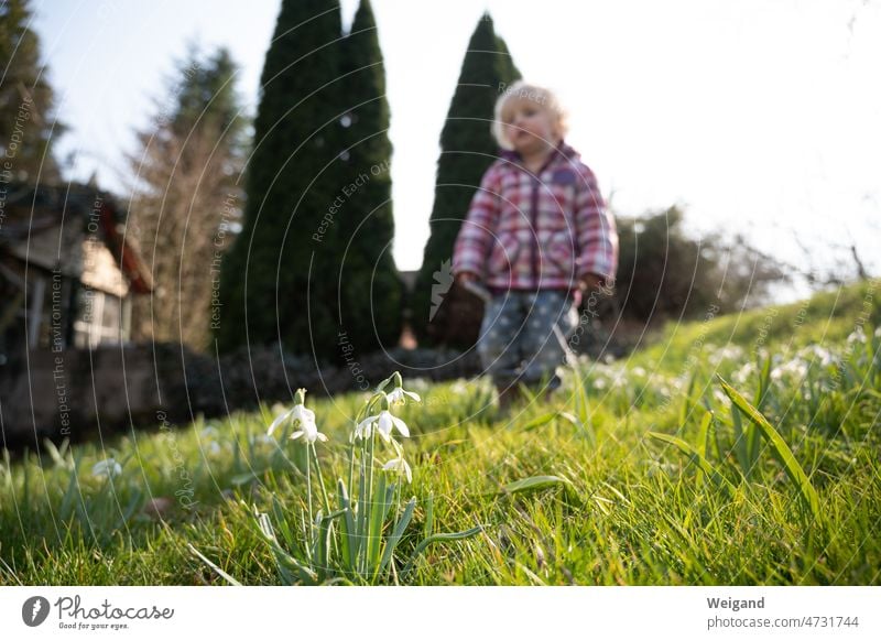 Child in the garden Garden Spring Easter search Snowdrop Infancy kita