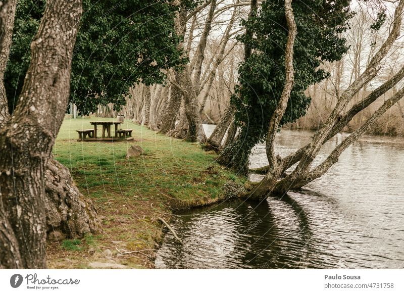 Picnic area in riverside Picnic bench Green Exterior shot Colour photo Summer Nature Deserted Day Meadow River Leisure and hobbies leisure travel Resting