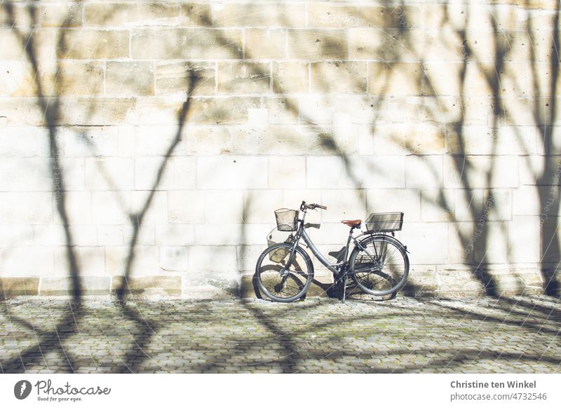 A bike stands in the sunlight with its own shade and the shadows of large trees in front of a bright wall Bicycle Shadow bicycle basket bicycle shadow