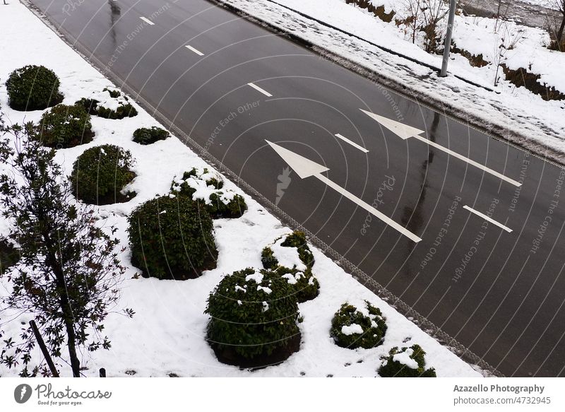 Winter road with two parallel white arrows. White arrows on a wet asphalt road. abstract art background bush dark deadpan design diagonal direction driveway