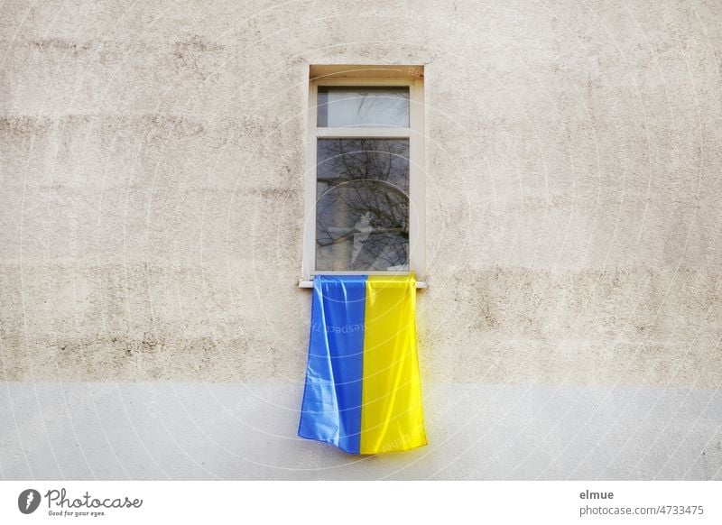 National flag of Ukraine on a house window / Solidarity / Ukraine war Ukraine flag War Politics and state Ensign Nationality Independence Freedom Fight