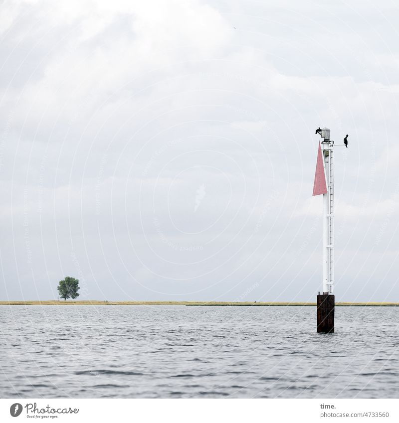 Orientation tree at the mouth of the Schlei with fairway marker and cormorant siesta under light gray sky with rain potential Tree Cormorant Sky Clouds Maritime