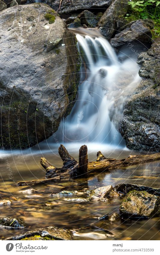 In the river. Stream, driftwood and rocks. Long exposure. Water Flow Life Wet naturally Nature Experimental Exceptional Morning Day Contrast Stone Meditation