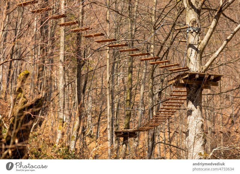 Rope park in the middle of the forest.Passing sports obstacles above the ground.Outdoor activities.Sports park for the whole family.Hanging steps and ropes strung between trees.Wooden Town