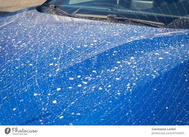 Blue car with Sahara dust frowzy Car Vehicle Motoring Dirty Blood Rain Driving Weather Sahara sand