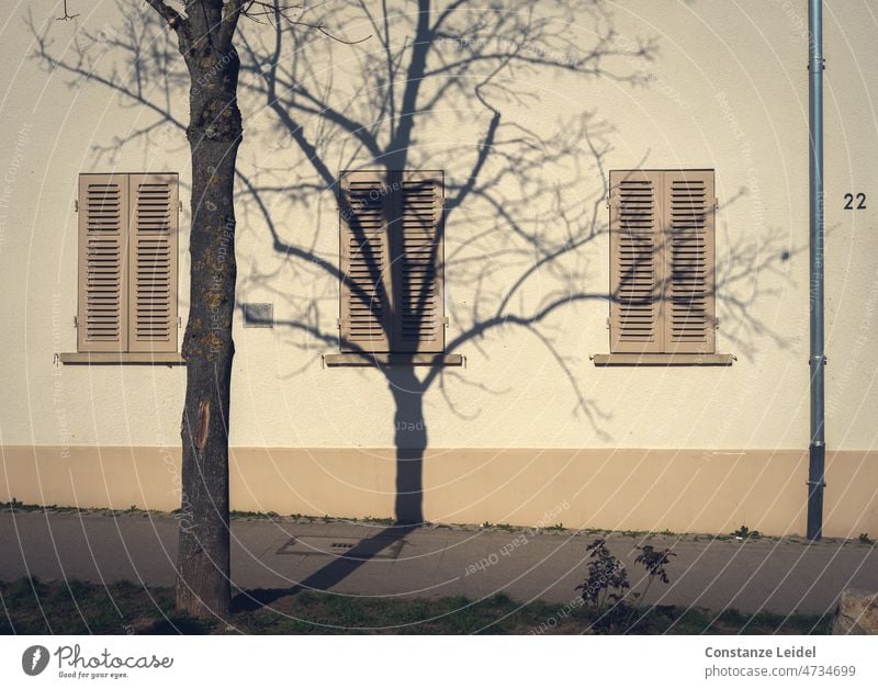 Shade of a tree in front of a house wall Shadow Tree Window House (Residential Structure) Deserted Facade Shutter Wood shutters photos Wall (building)