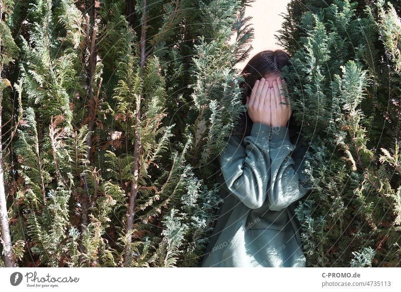 Teen hides between hedge Invisible teen Girl Green Hedge Hide not visible unpleasant hands in front of the face embarrassing game of hide-and-seek Hide and Seek