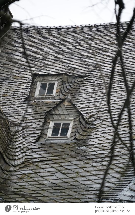 Shingle roof with windows Roof cutout shingles 2 small windows cloudy Exterior shot Shades of grey Deserted bare branches Portrait format