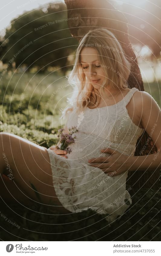 Blond pregnant lady on meadow in summer woman pregnancy park await expect tummy belly forest prenatal maternal female peaceful calm serene sit delicate dress