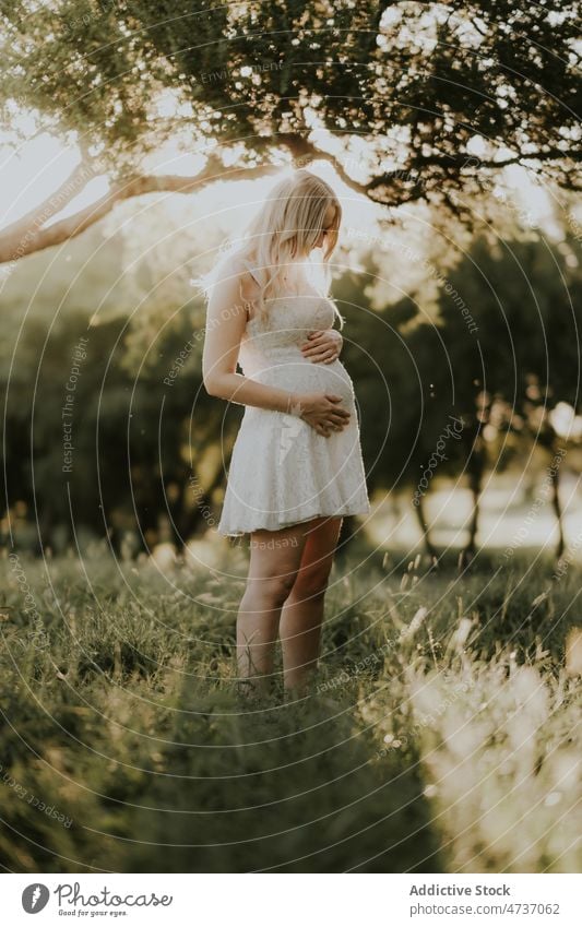 Positive pregnant female standing in green woods woman pregnancy summer park await expect prenatal happy forest tummy belly maternal lady delicate dress