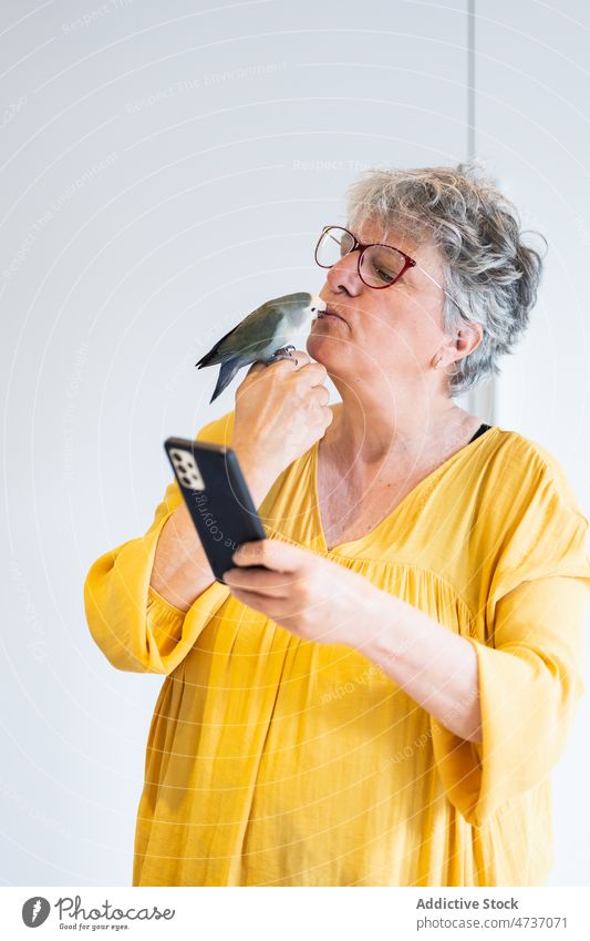 Mature woman with smartphone kissing cute parrot in white studio grey headed lovebird agapornis canus owner using together mobile happy elderly blouse