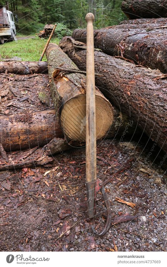 Logs and log turners tree trunks log lifter Forest Forestry Tree bark turning aid reversible hooks Tool felled Wood stacked Stack of wood