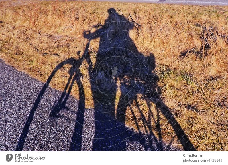People shadow with bicycle Shadow Light and shadow Sunlight Contrast Shadow play Silhouette bicycle shadow Exterior shot Colour photo Structures and shapes