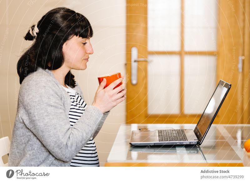 Young Hispanic pregnant woman drinking hot beverage and watching laptop in kitchen coffee expect breakfast video internet female young ethnic hispanic brunette
