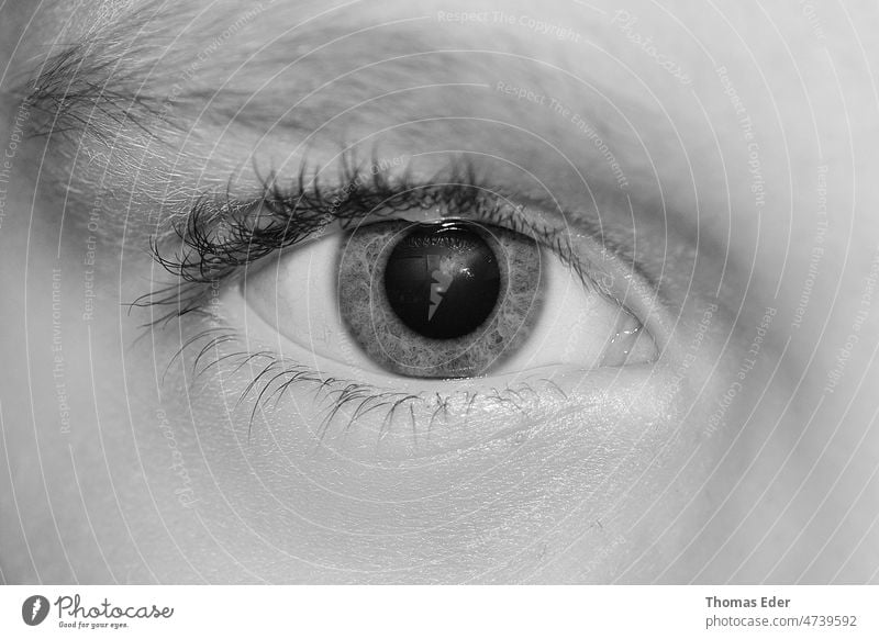 eye in black detail view beauty macro human iris vision look beautiful blue female eyelashes makeup closeup reflection woman eyeball eyebrows focus skin young
