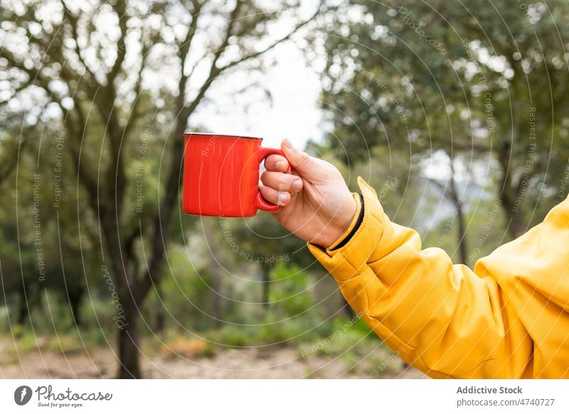 Man with cup of coffee in forest man mug hot drink hiker nature beverage trekking journey trip campaign woods activity adventure male explorer environment guy