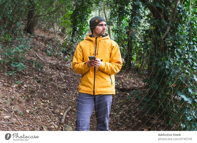 Man browsing smartphone in forest man hiker nature trekking journey online trip woods explore activity adventure beard male explorer environment hat guy tree