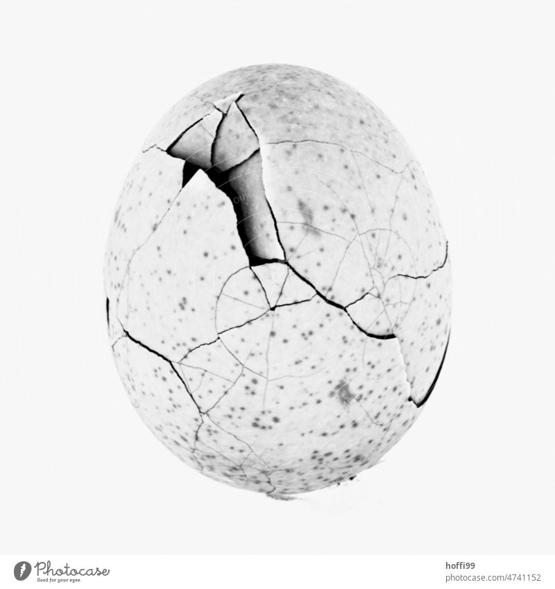 Cracks in an eggshell Egg Easter egg Line crack formation Crack & Rip & Tear Zigzag Eggshell Hen's egg Surrealism Transience Structures and shapes Bizarre