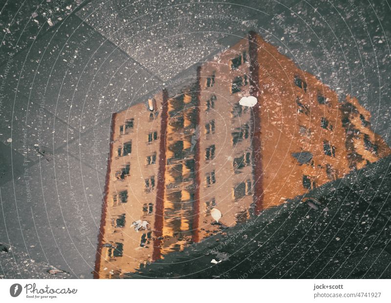 In the puddle reflects a tall residential building after the rain Apartment Building Puddle Reflection Sidewalk Paving tiles Facade Neutral Background