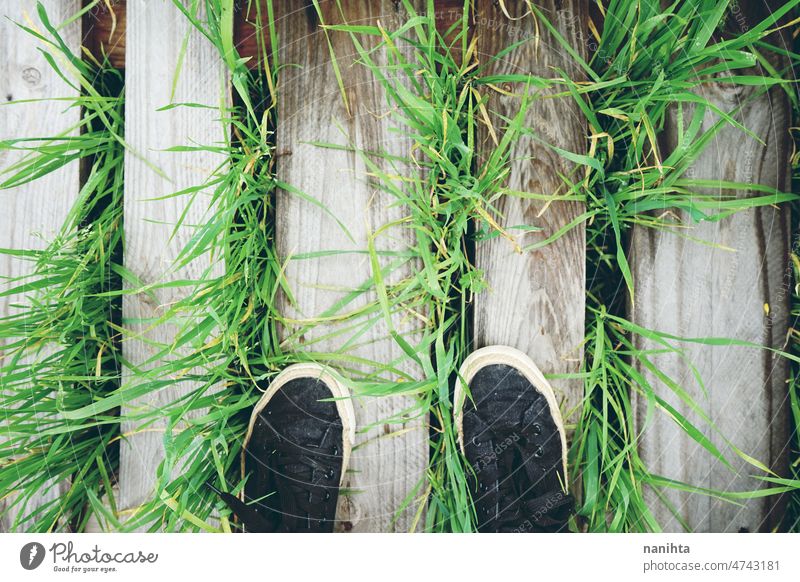 First person view of a feet over grass and wood green texture fresh leaves nature organic cool cold beautiful spring springtime pattern abstract resource