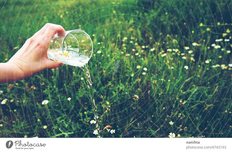 Hnd holding a glass full of pure water in nature abstract weather flower rain purity mineral green natural climate change transparent background grass simple