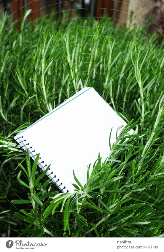 Mock up image in fresh organic texture mock up empty space note paper green nature notebook freshness grass spring springtime design white space negative space