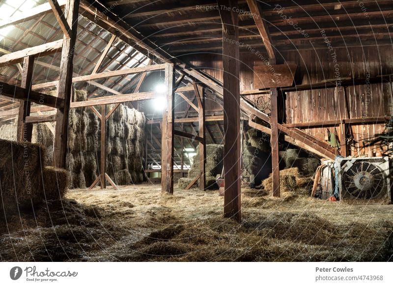 Inside Rustic Wooden Old Barn Hay Bales Straw Sunlight Rays Light Beams Farm abandoned aged agriculture architecture background barn bright brown building