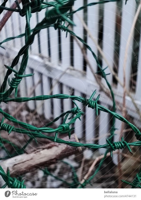 Barbed wire and fence Fence lattice fence Wood Exterior shot Colour photo Deserted Wooden fence Nature Green Day Garden fence Border Wooden board Weathered