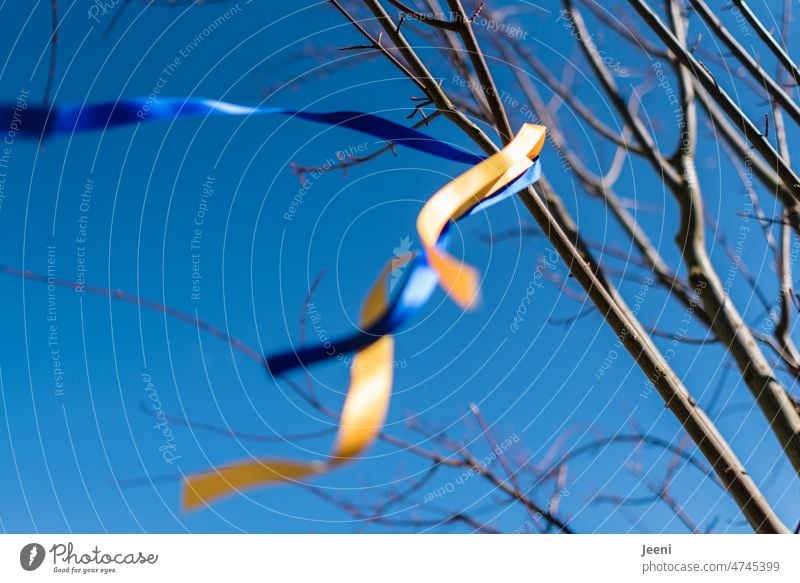 blue and yellow ribbons fluttering in the wind Ukraine War Peace world peace Love Freedom Hope Symbols and metaphors Solidarity Blue Yellow Sign Band Wind Sky
