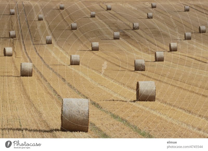 numerous round bales of straw widely spaced on a harvested grain field / rising food prices / grain cultivation Bale of straw Round bale of straw Grain field