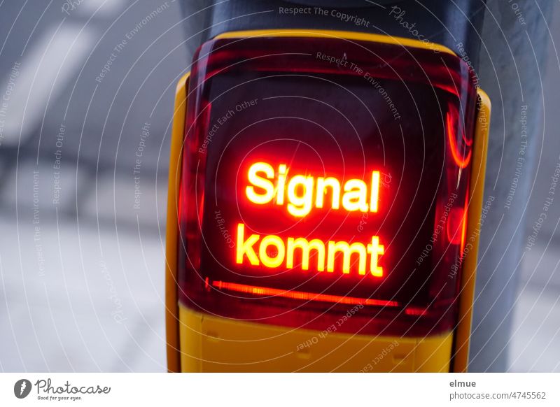 Signal comes - lights on the pusher of a pedestrian traffic light / wait / safety / patience Signal coming Pedestrian traffic light Traffic infrastructure