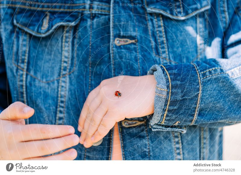 Unrecognizable kid with ladybird on hand childhood coccinellidae beetle insect street specie creature habitat summer denim style little sunlight city innocent