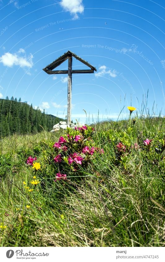 Cross. Symbol and waymarker in a hiking area. Ursprungalm. Crucifix alpine meadow Christian cross Religion and faith Symbols and metaphors Death Hope Easter