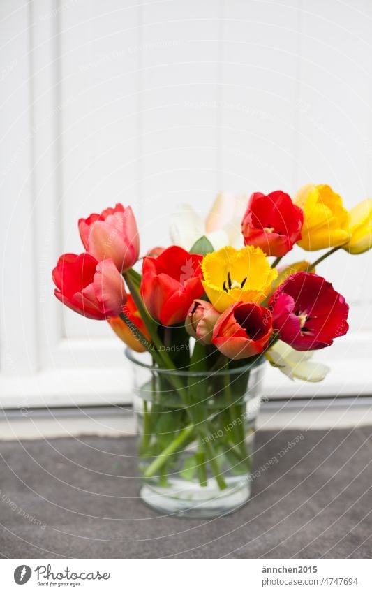 A colorful bouquet of tulips in a glass vase stands on a stone step in front of a white door Blossom Ostrich Bouquet variegated Easter Spring Flower Green