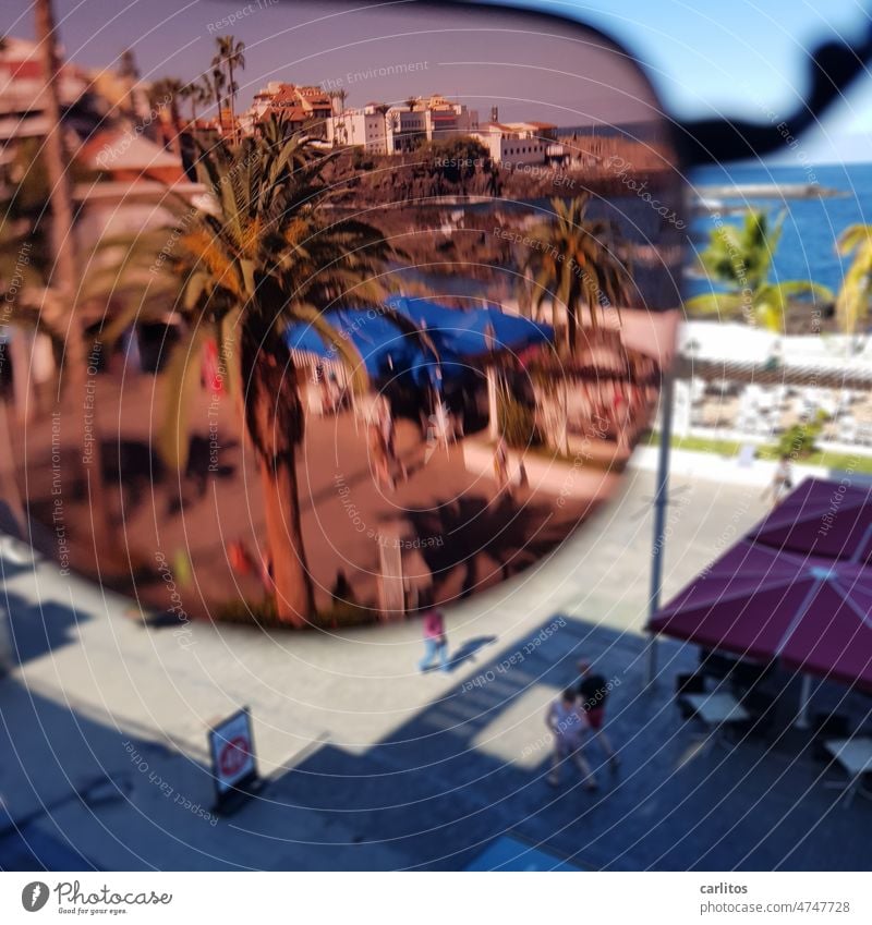 Looking through a glass too deeply Eyeglasses Sunglasses Vista filtered tinted Palm tree Footpath Pedestrian precinct Promenade Town Ocean coast Canaries