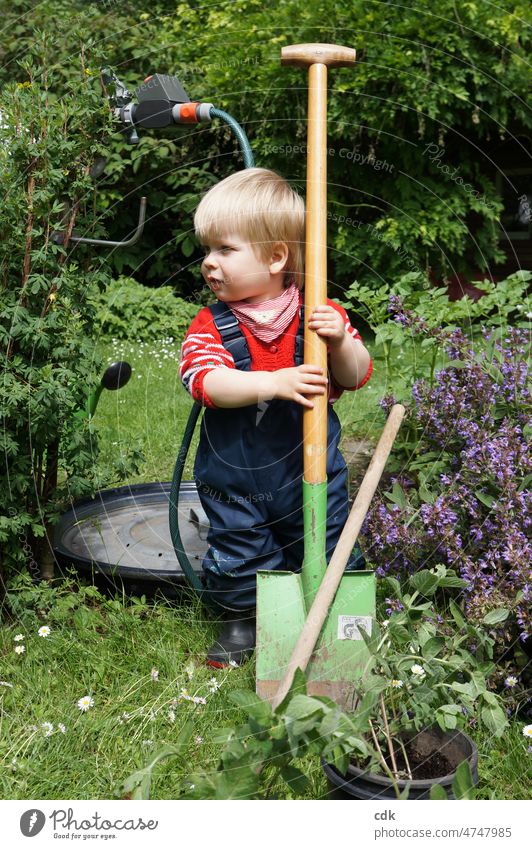 Child with big spade in the garden: it's ready to go! Toddler Garden out Green ready for use adventurous do gardening work in the garden help Sun portrait