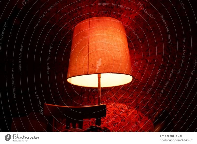 rose red Design Decoration Lamp Wallpaper Feet Plant Rose Blossom Blossoming Fragrance Living or residing Warmth Red Warm-heartedness Romance Calm Loneliness
