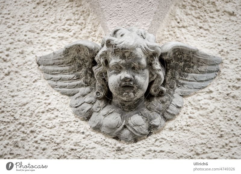 Head sculpture of a child angel with wings on a house wall. face countenance messenger cherub winged winged being little angel angelic being facade figure