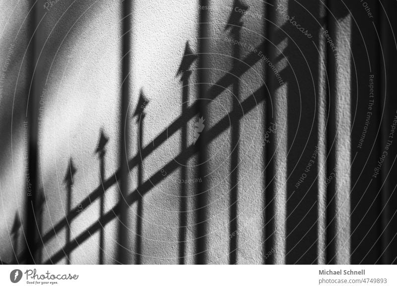 Shadow of a steel gate Goal sharpen Shadow play shadow cast lines Lines and shapes Structures and shapes Abstract Pattern Light Sunlight Minimalistic