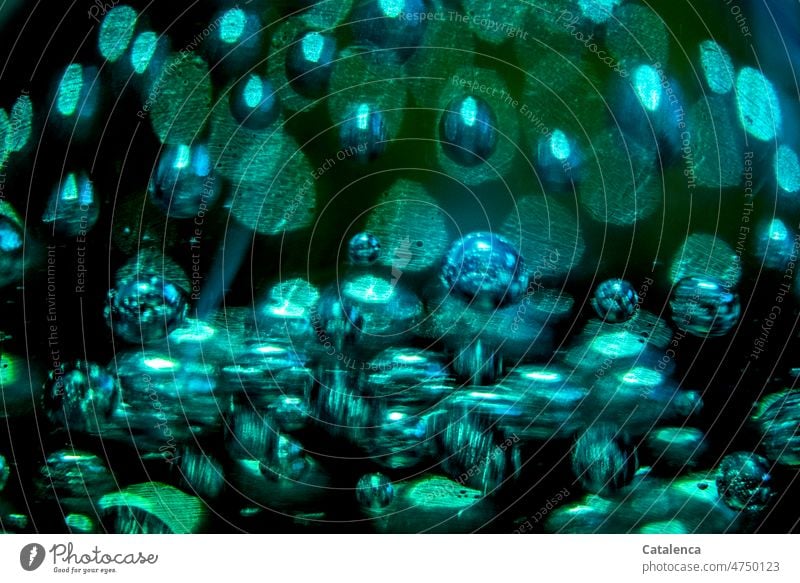 Trapped air bubbles in green glass Textrur structure Structures and shapes Blow blow Round Glass Marble Sphere Light Illuminate Green Black Abstract Glittering