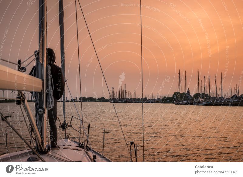 Man standing on deck of sailing yacht as it sails to dock in evening marina Nature Free Movement evening light Twilight Beautiful weather Sky Weather Day